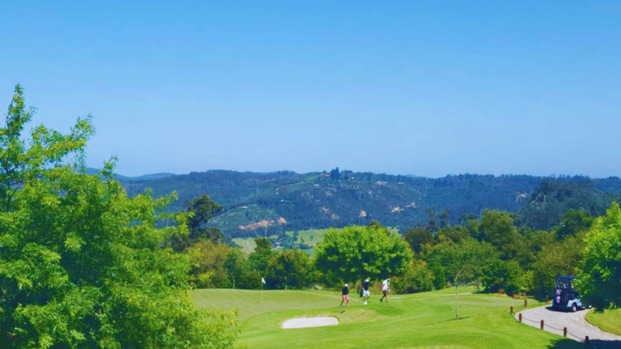 0 Bedroom Property for Sale in Simola Western Cape